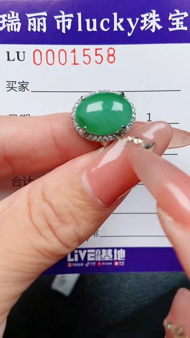 【闪购商品】翡翠颈饰银S925镶嵌1558