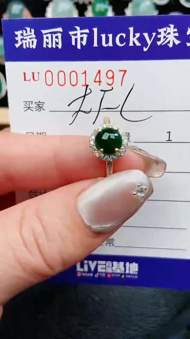 【闪购商品】翡翠颈饰银S925镶嵌497