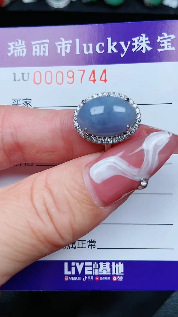【闪购商品】翡翠颈饰银S925镶嵌9744