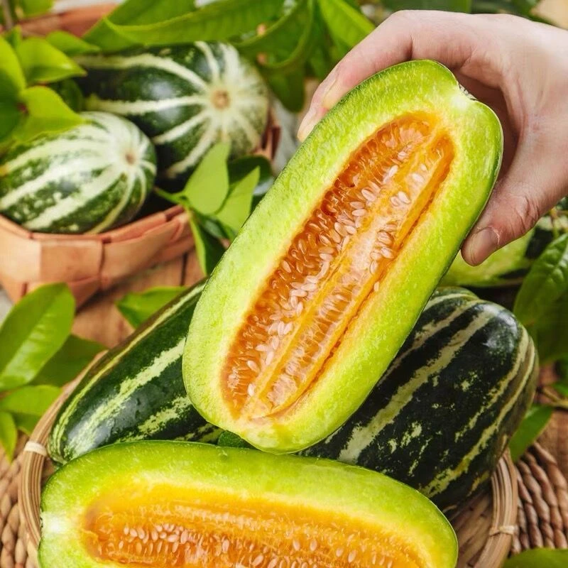 【满5元包邮】冰糖子甜瓜种子高甜高糖花皮甜瓜种籽早熟脆甜香瓜子
