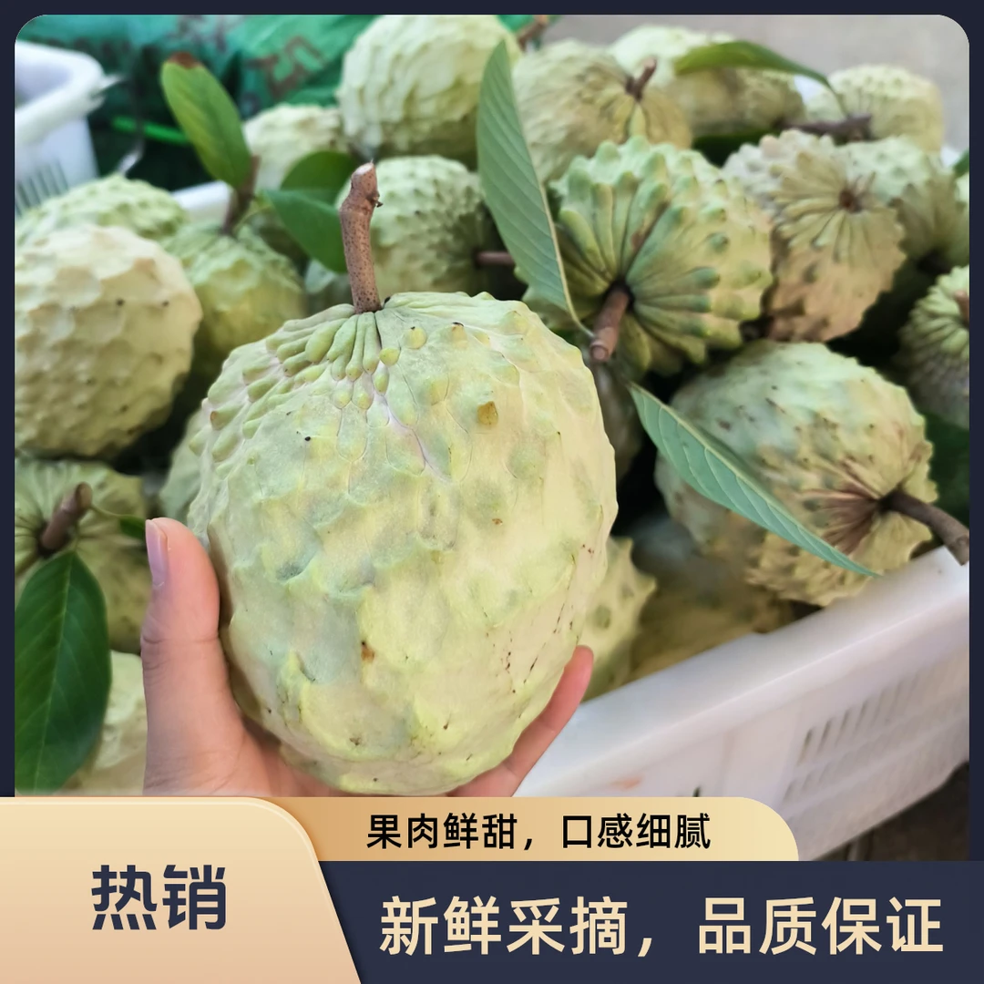 正宗攀枝花凤梨释迦果 热带水果 超甜营养丰富 番荔枝 绿色食品