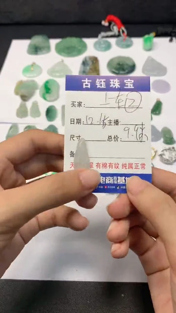 【闪购商品】翡翠颈饰未镶嵌羽毛