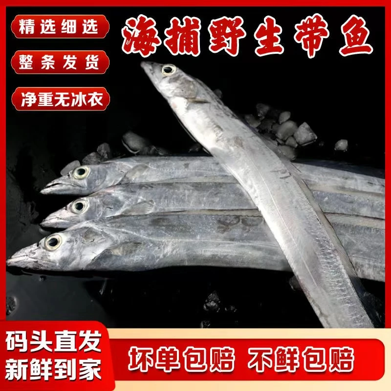 精品大带鱼三指宽度小眼油带鱼新鲜锁鲜肉质鲜嫩肉厚鲜活速冻发货