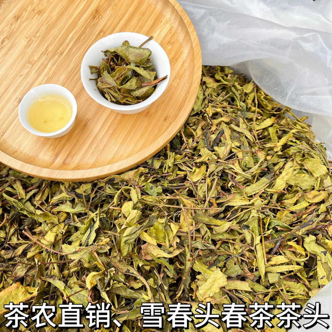 速2025新茶叶凤凰单枞茶（雪春头春茶虎）茶农直销清香甘甜单丛茶头