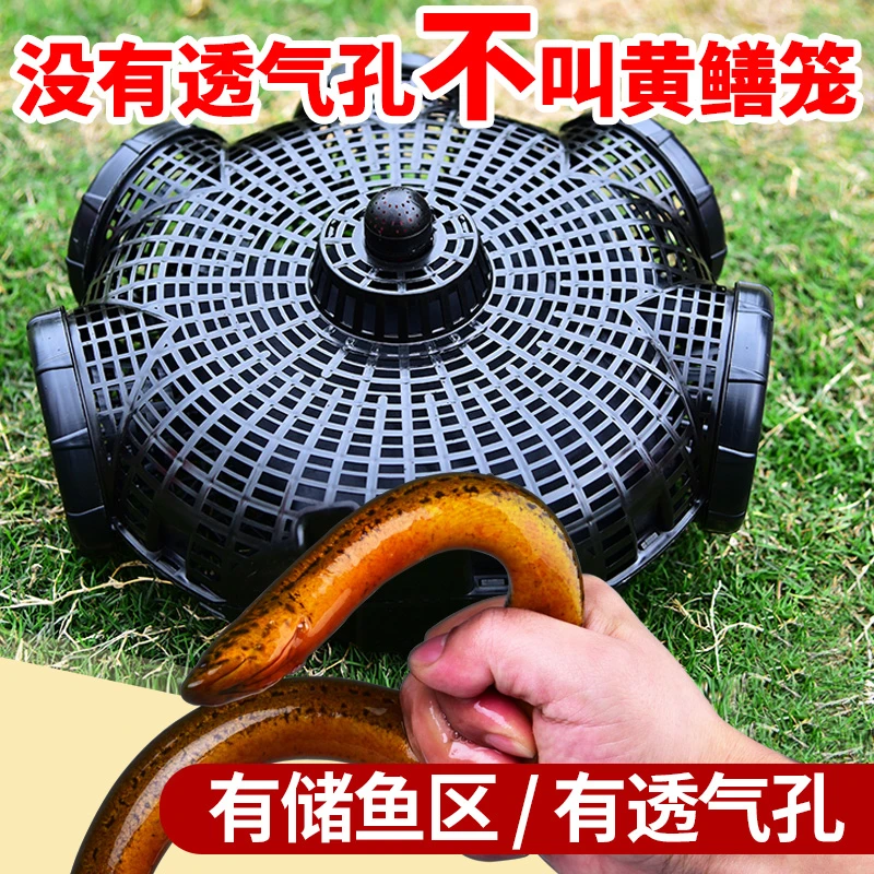 钓之界墨攻3孔黄鳝笼倒须口捕鱼笼鳝鱼笼泥鳅笼捕黄鳝地网龙虾笼