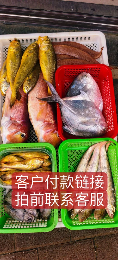 【直播间现卖现称①】海鲜套餐 杂鱼现买现称