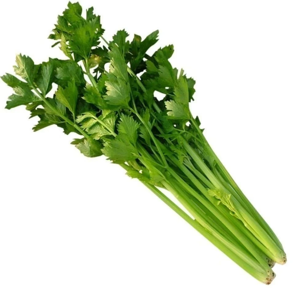 河南农家自种西芹