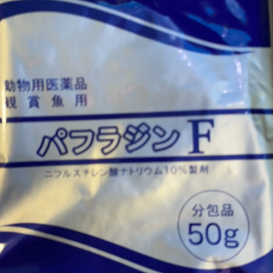 观赏鱼绿粉治疗金鱼病