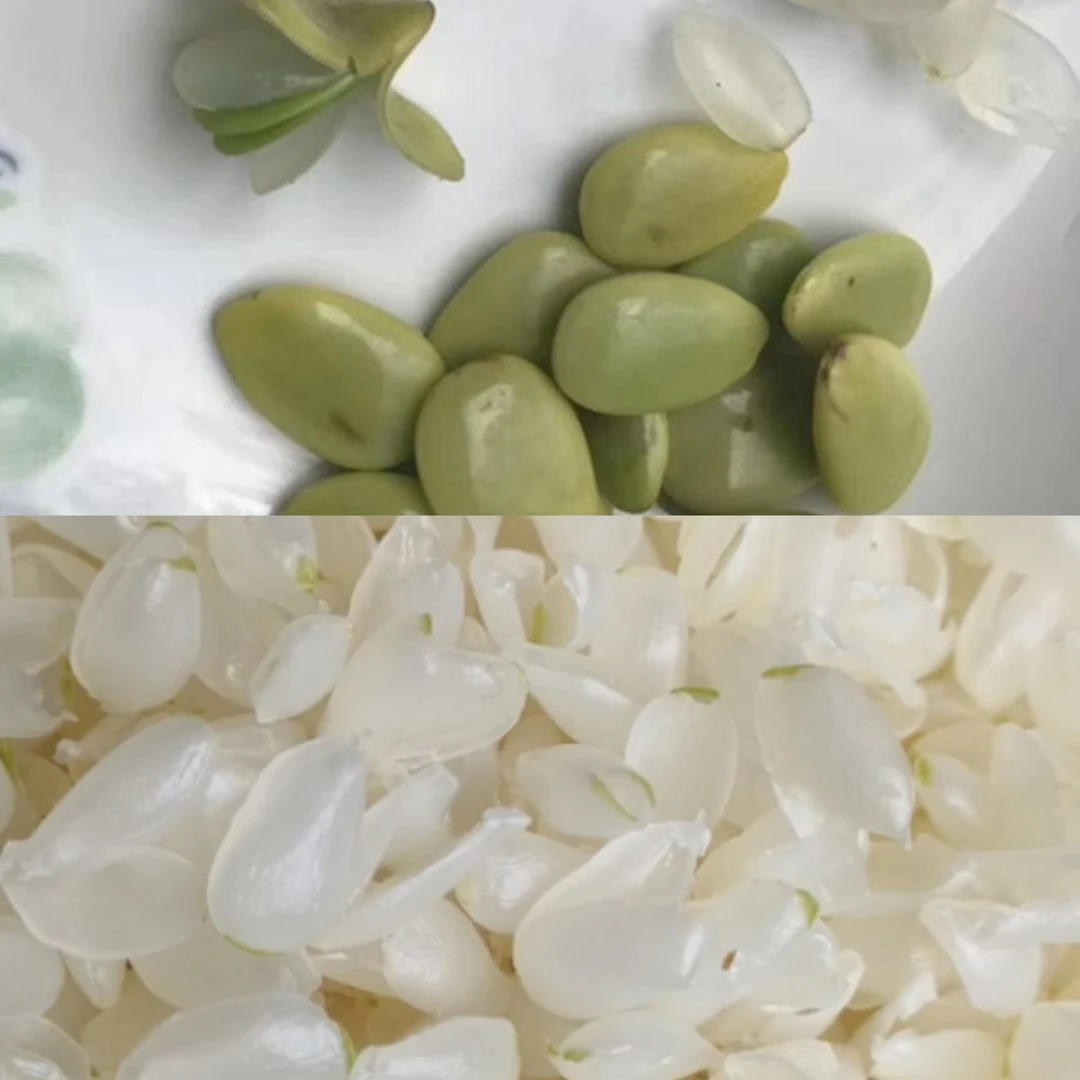 云南梁河天然老树单荚皂角米雪莲子柏子仁500克包邮