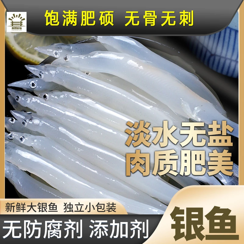银鱼太大湖水域食用三白银鱼新鲜鲜活淡水辅食无刺营养100g×10包