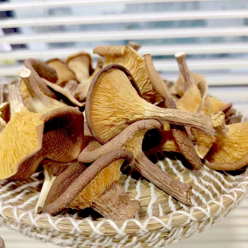 云南现收特产猪～肚菌250g/500g/1000g