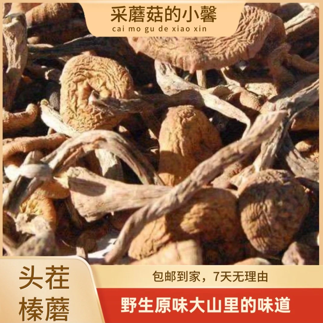 野生榛蘑自然晾晒250/500克