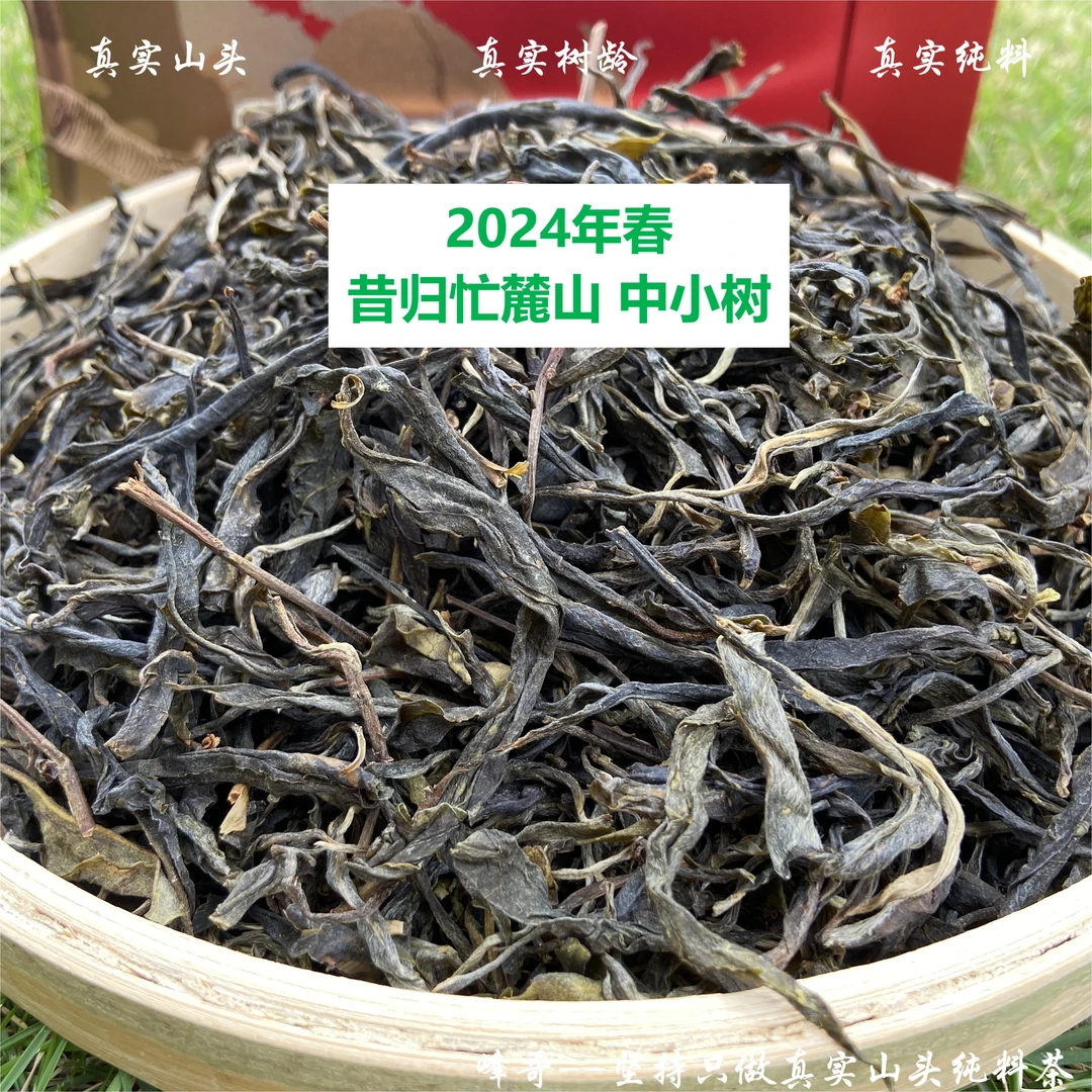 【峰哥保真】昔归忙麓山纯料 2024年春 普洱生茶 中小树 100克