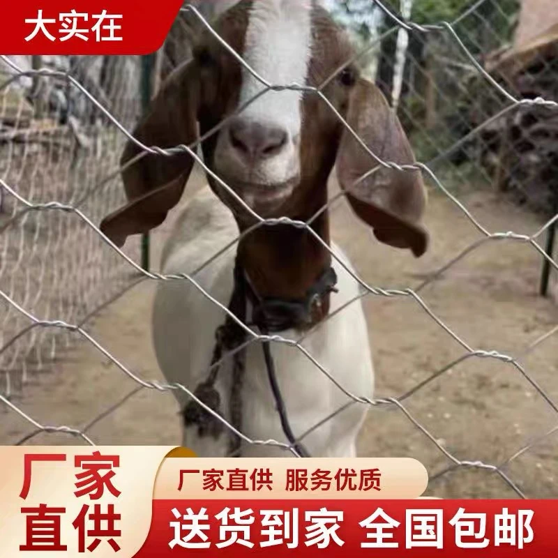 铁丝网护栏网养殖牛羊猪围网拧花网六角网编织装饰钢丝网隔离栏删