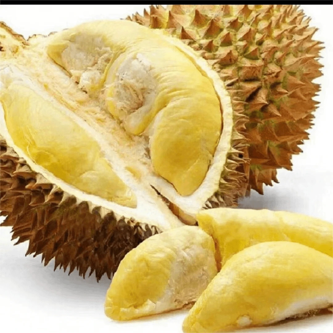 金枕榴莲一物一拍3