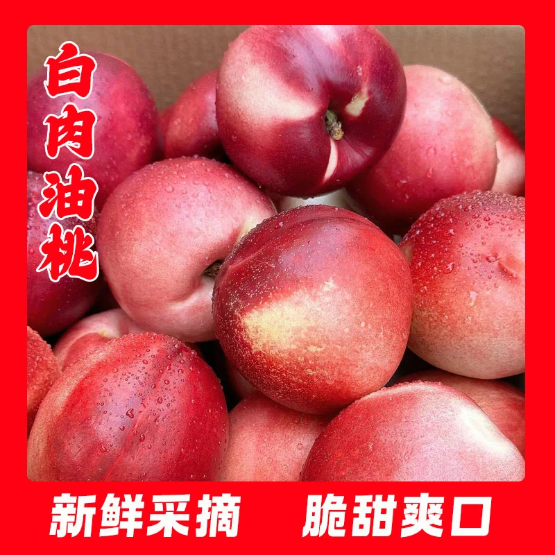 精选白蜜脆甜油桃皮薄爽口现摘香甜新鲜包赔多汁（中油18）