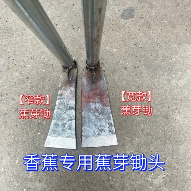 老式园林农用家用挖土锄头挖蕉芽条锄蕉芽铲锄手工锻打加厚蕉牙锄