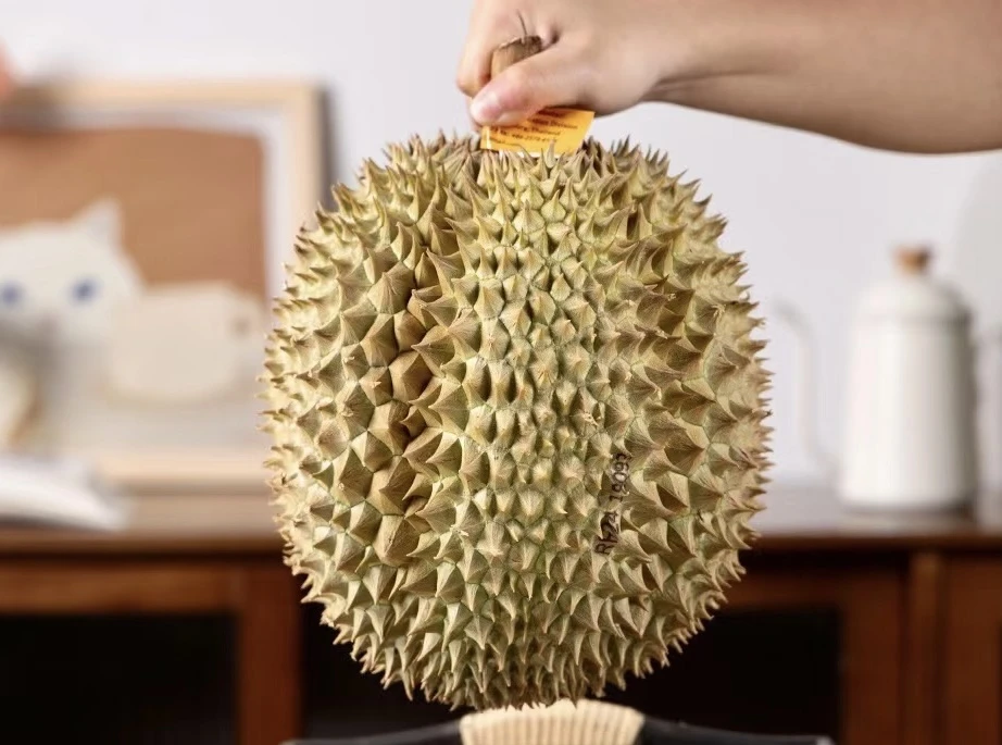 【新果季】榴莲味更浓的黄虾榴莲满满一大盆现开纯果肉（一斤）