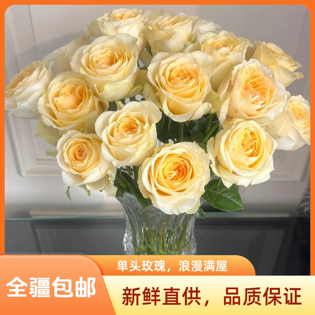 奶油杯15枝+5枝不售后 介意勿拍（新疆发货 全疆包邮）