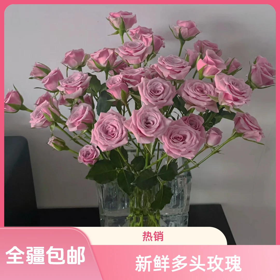 莱拉多头玫瑰1把 （新疆发货 全疆包邮）