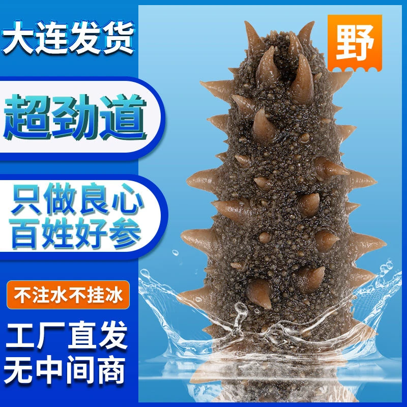辽刺参肉质肥厚独立包装顺丰包邮口感筋道4