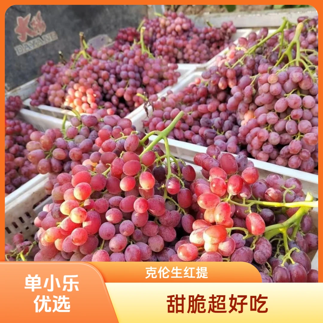 【克伦生红提】超甜好吃嘎嘣脆