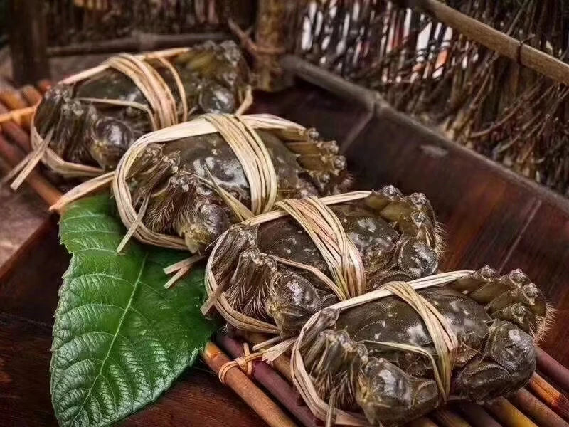 【同城配送小时达】正宗苏州精品大闸蟹母蟹2两125克/只