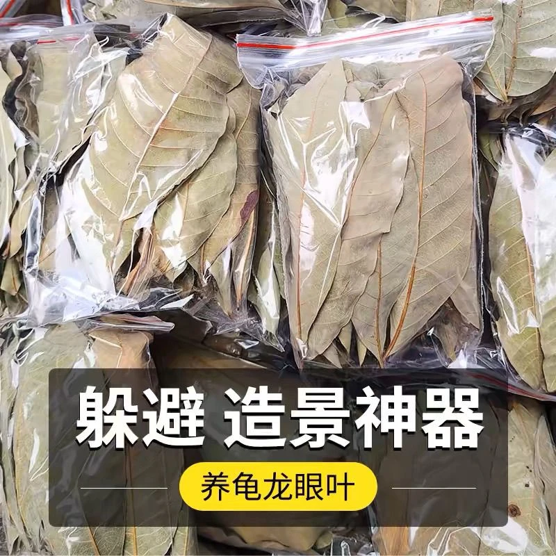 龙眼叶养龟专用预防腐皮改善水质绿色造景树叶子乌龟躲避神器免煮