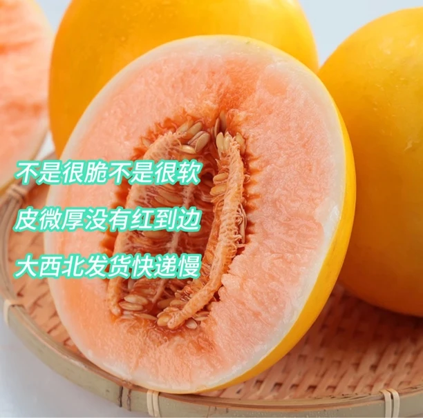 【丽贤珍选】民勤沙漠蜜瓜香甜可口产地直发中通快递