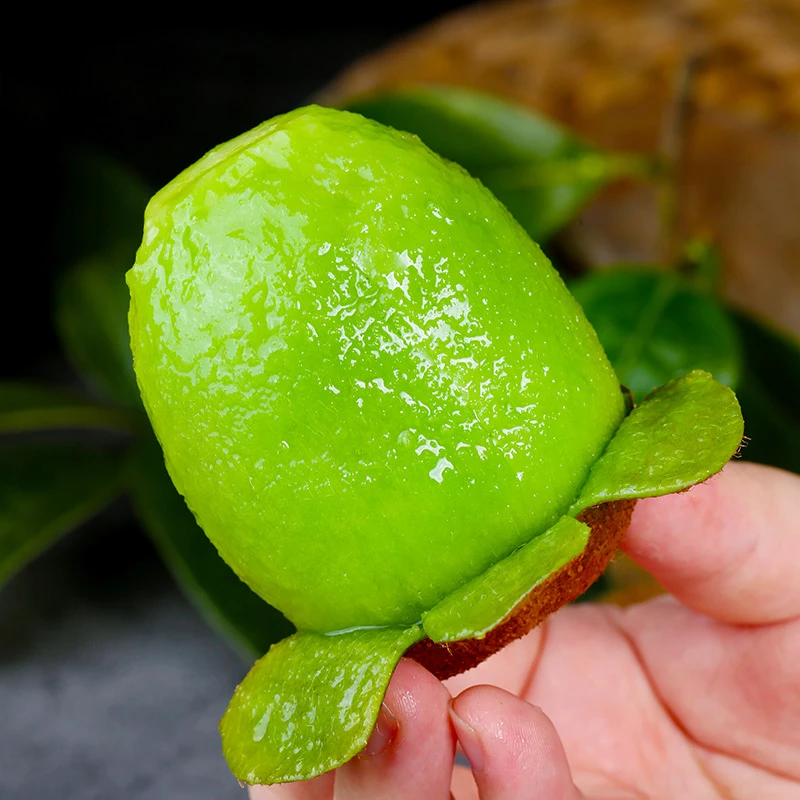 ABOUT NONGPIN/关于农品【放软吃】陕西翠香猕猴桃奇异果单果60克起