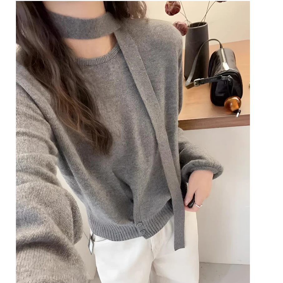 2024秋季新款浣熊蜜熊时尚慵懒百搭亲肤软糯圆领针织衫