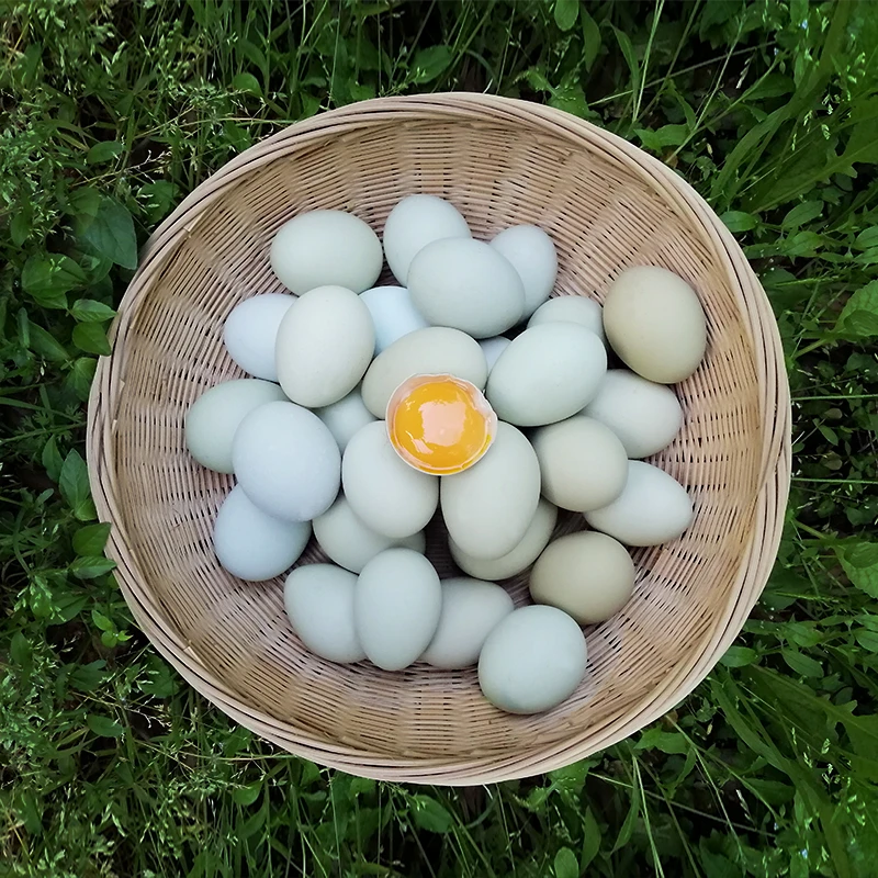 山土御品绿壳土鸡蛋正宗农家散养30枚