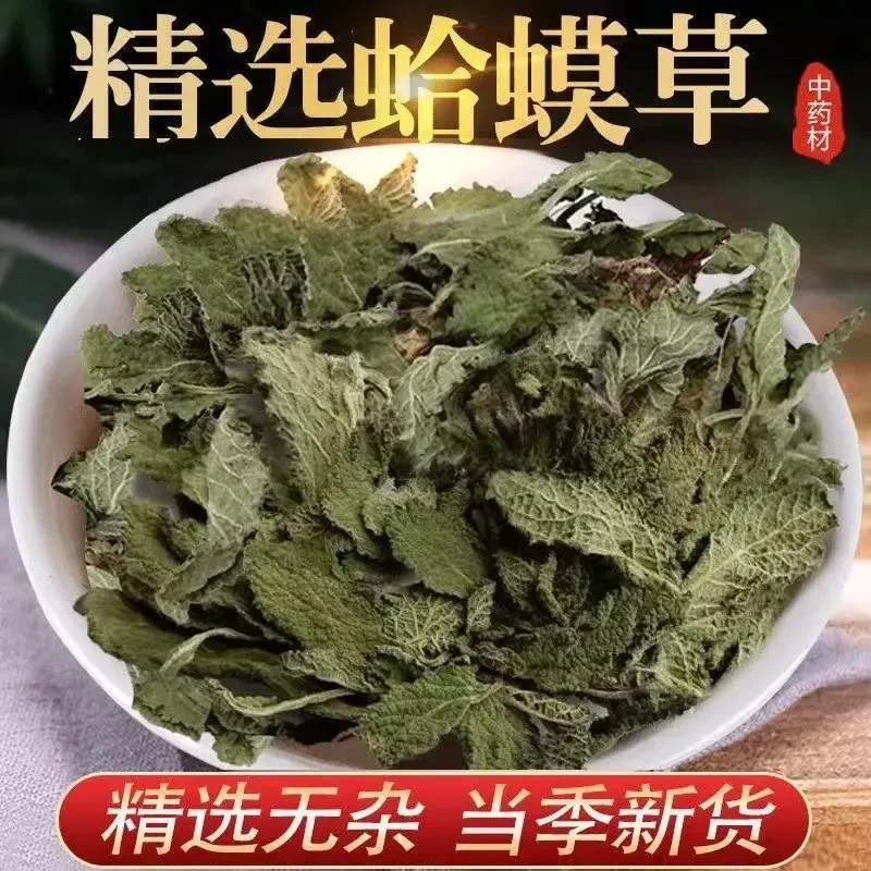 蛤蟆草 癞蛤蟆草 癞蛤蟆新鲜整颗嫩草泡水荔枝草可搭姜250g