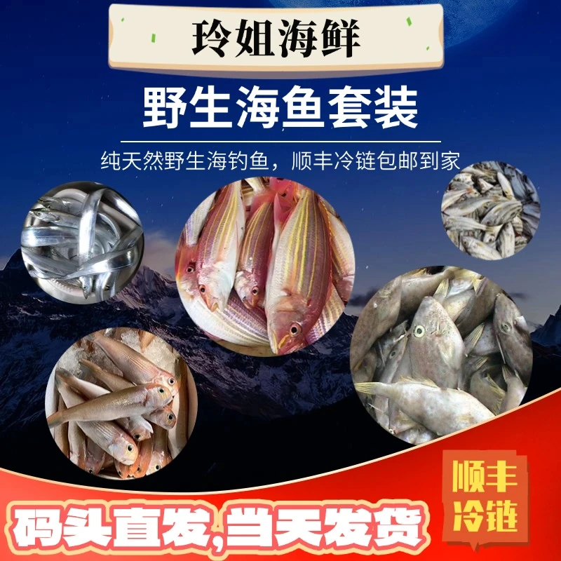 广东汕尾港本港海钓鱼类套餐（顺丰冷链配送到家）包鲜，不鲜包赔