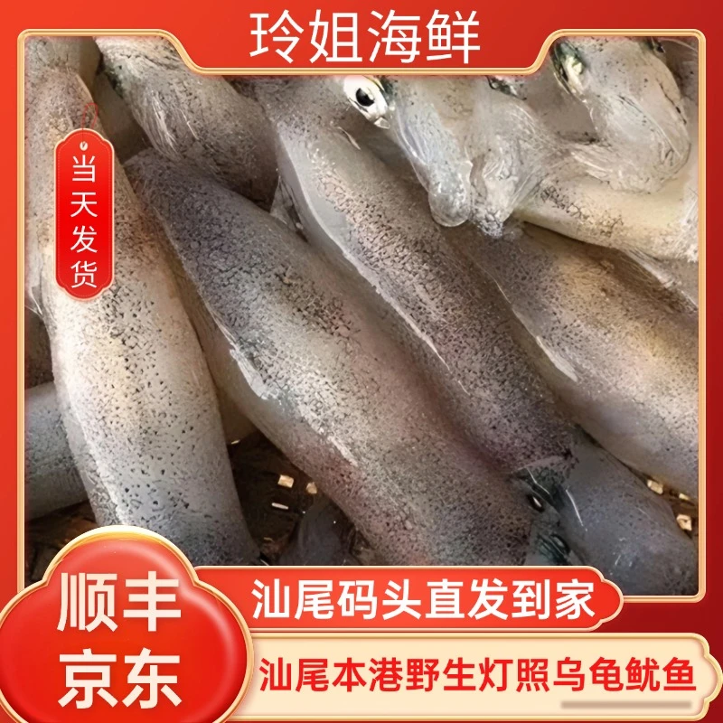 灯照速冻鲜嫩鱿鱼  汕尾港码头原产地冷链直发货新鲜冷冻包邮到家