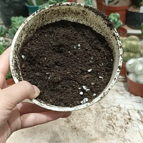 营养土3斤     10元