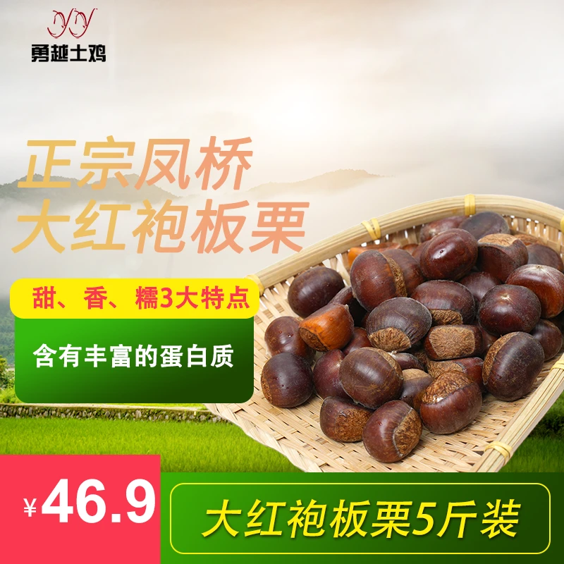 勇越凤桥大红袍板栗【五斤装】2500g
