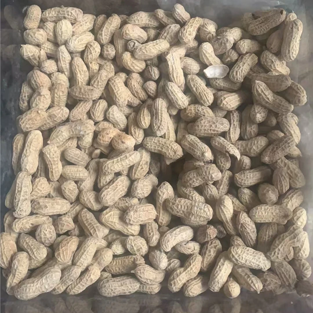 熟花生花生同城送