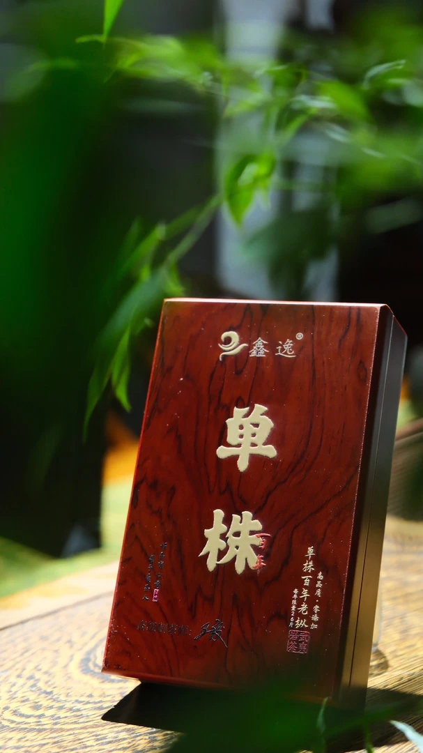 鑫逸 单株 百年老枞 一盒16克 （8克 x2泡）武夷岩茶 乌龙茶