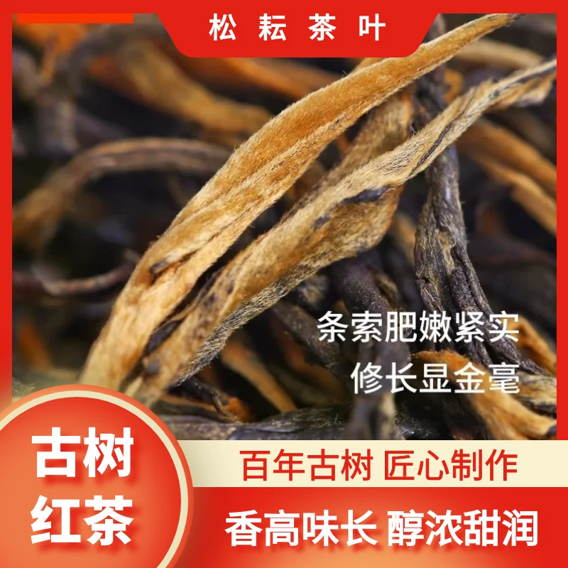 古树红茶云南凤庆滇红金针古树红茶蜜花香香薯香型高山茶红茶茶叶