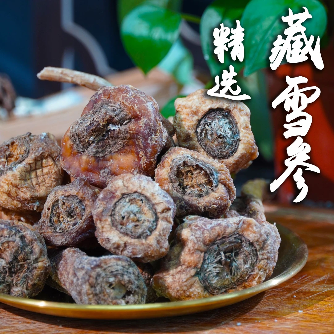 【小姨子专属】精选 藏 雪 参 滋补品