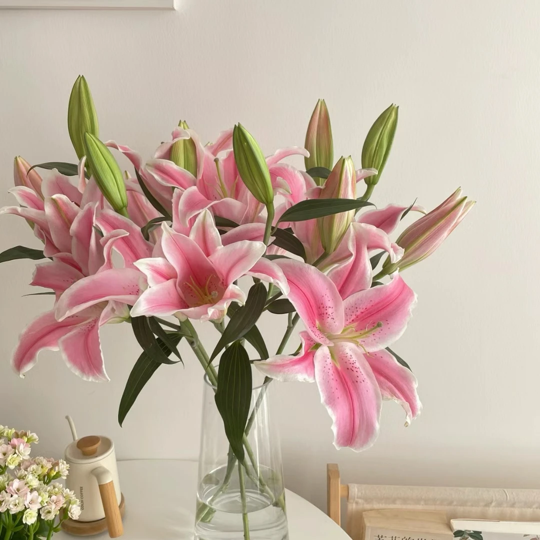 京东速运 双头 粉色百合 家居养护鲜切花