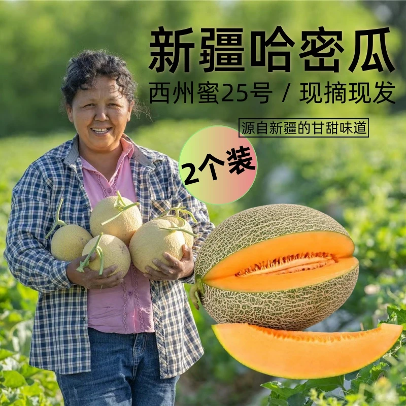 正宗【新疆直发】吐鲁番哈密瓜