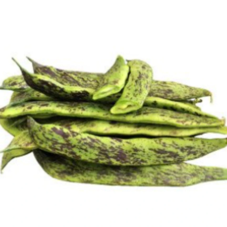 地产紫花油豆角约300g±15g/份（马掌豆角、花皮子豆角）