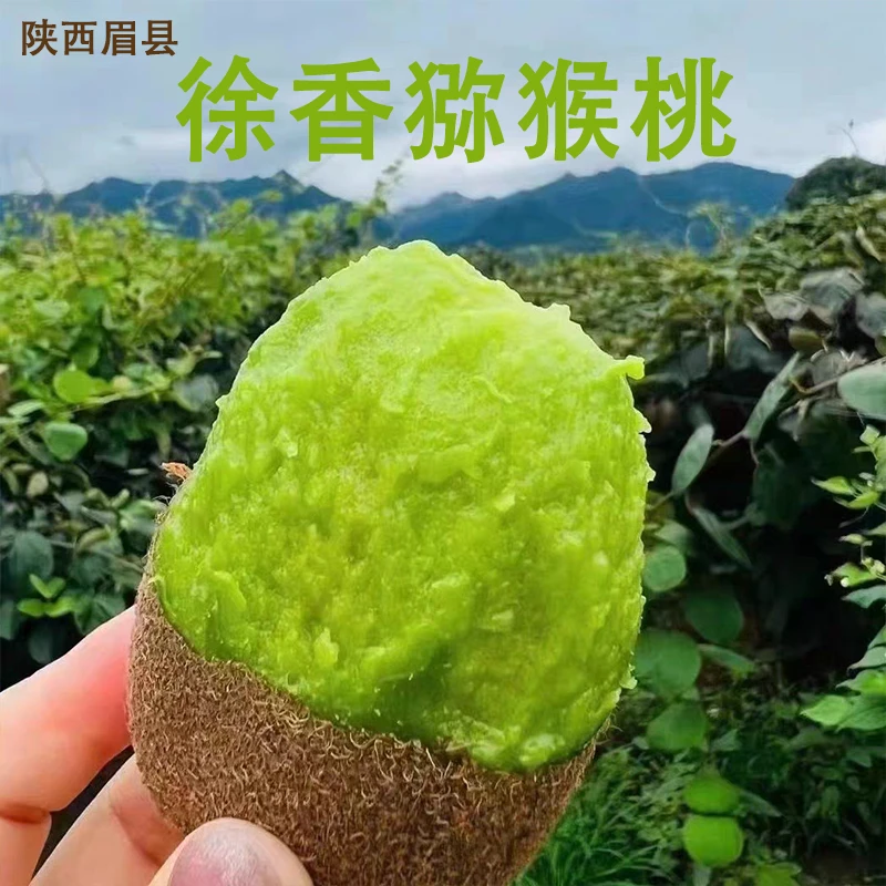 陕西眉县徐香猕猴桃绿心奇异果新鲜水果应当季整箱包邮即食猕猴桃