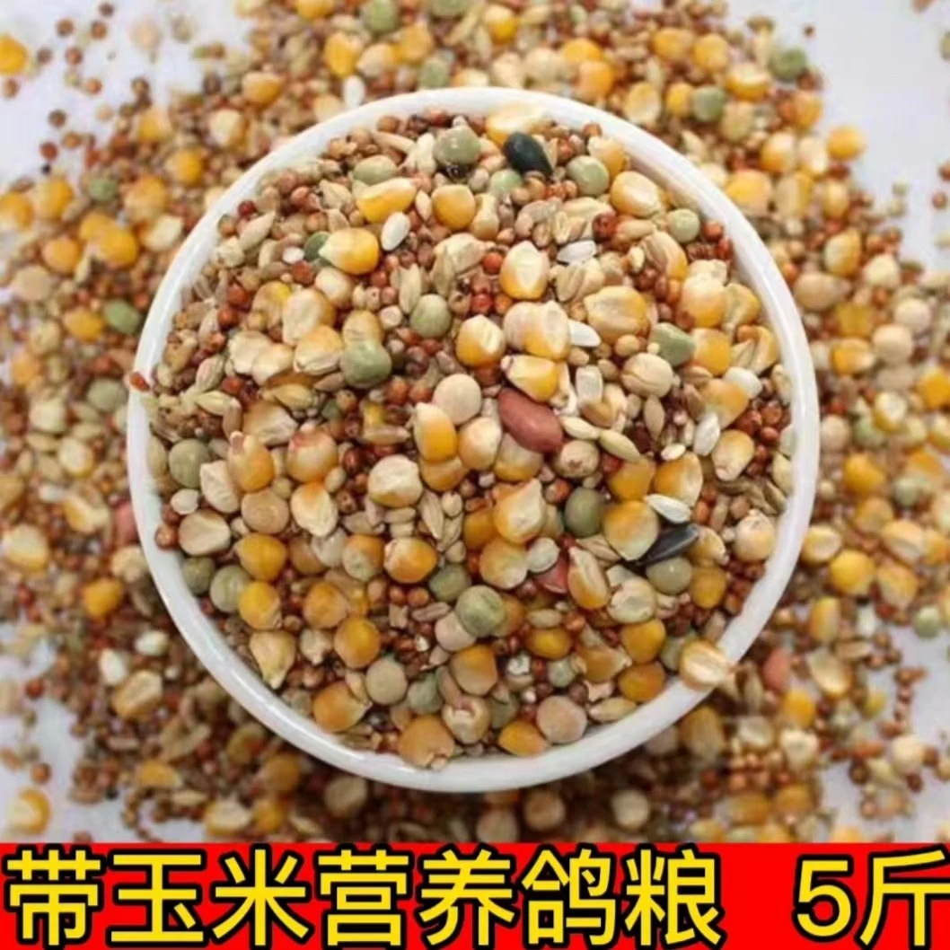 包邮5斤装有玉米豌豆小麦高粱专用肉鸽鸽粮鸽子食营养鸽粮观赏食