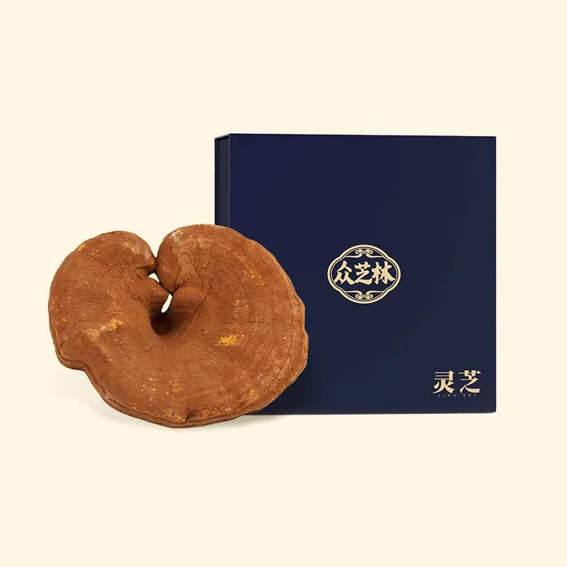一朵灵芝