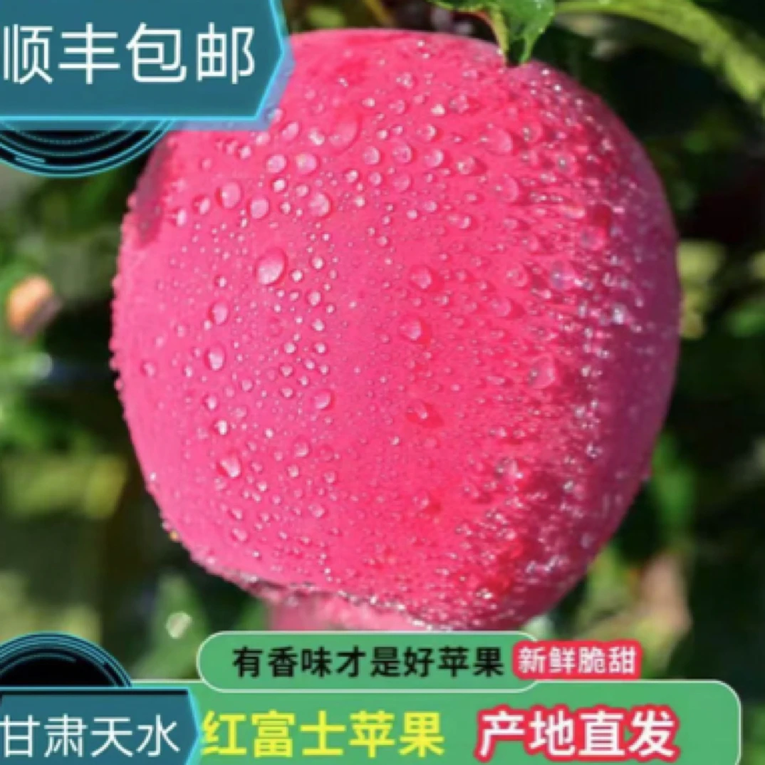 《顺丰包邮》甘肃天水红富士苹果当季新鲜脆甜多汁营养丰富产地直发