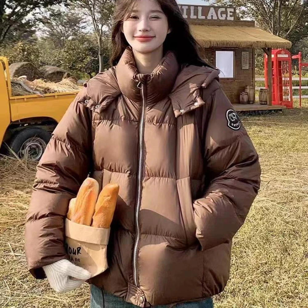 2024冬季泡芙美拉德连帽立领羽绒服YR011