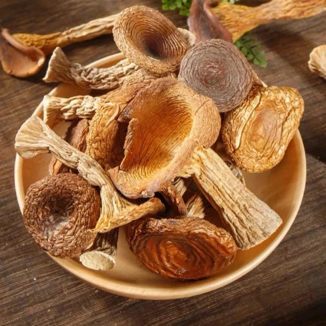 【村干部助农】云南土特产【猪肚菌】